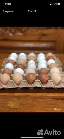 Фермерские продукты