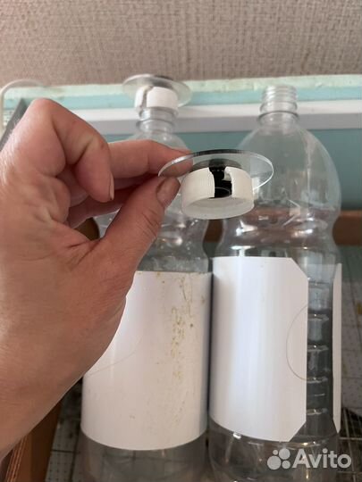 Инкубатор для яиц матрица 