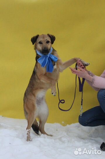 Рейчел молодая девочка, подросток