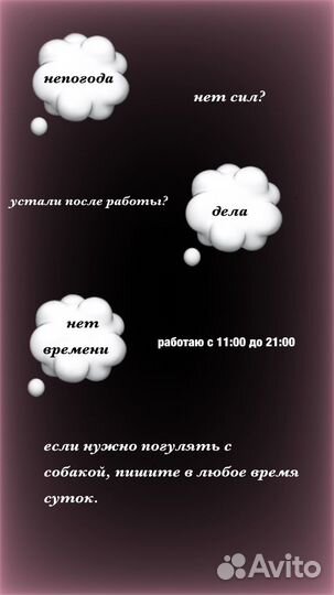 Выгул собак