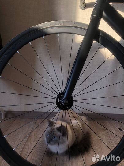 Велосипед 6KU Urban Track Shadow Black