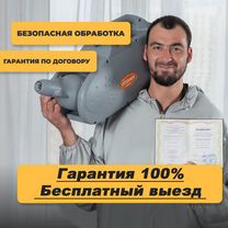 Дезинфекция / Уничтожение тараканов клопов плесени