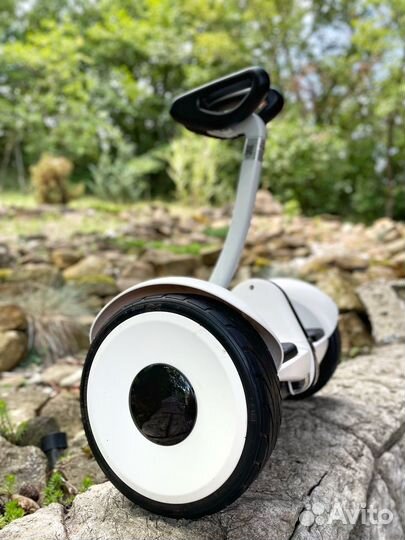 Гироскутер segway