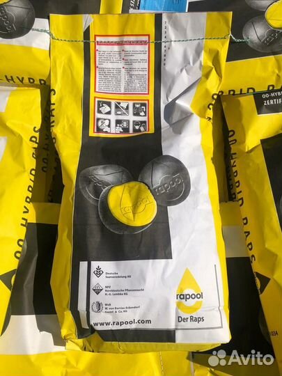 Семена озимого рапса