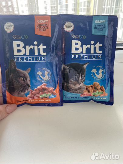 Влажный корм для кошек brit