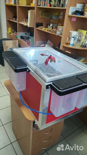 Мультиинкубатор 