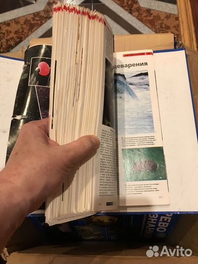 Комплект из 195 номеров Древо познания