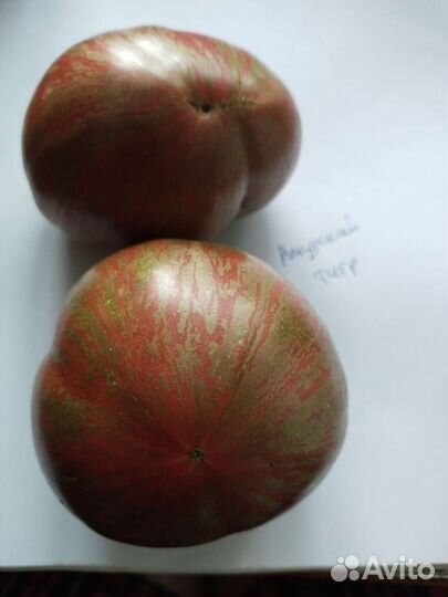 Семена сортовых томатов