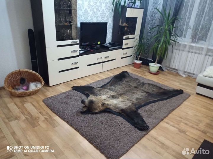 Шкура ковер 