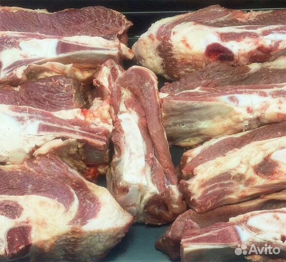 Мясо домашнее Говядина