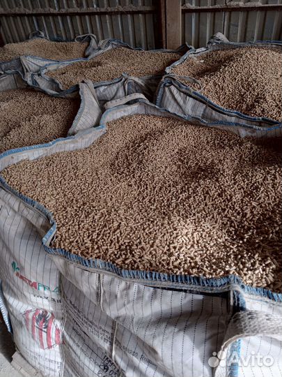 Топливные пелеты