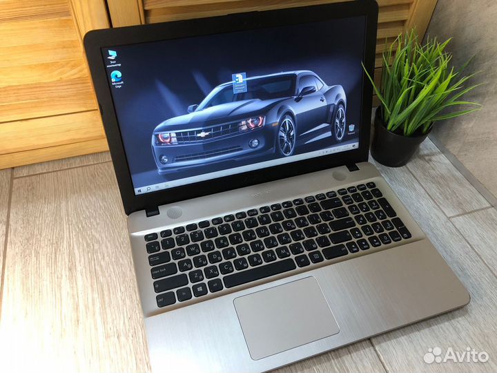 Ноутбук asus D541N