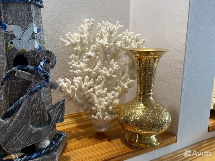 Кораллы Наутилусы Ракушки Рында Штурвал и др