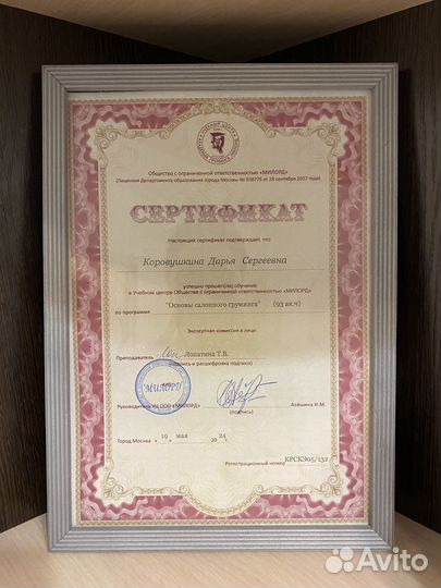 Грумер Груминг Стрижка собак