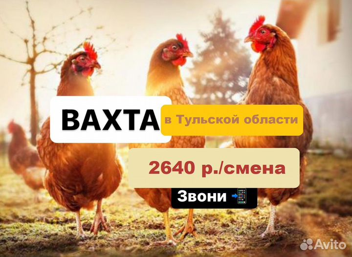 Упаковщики в Тульскую область. Работа вахтой