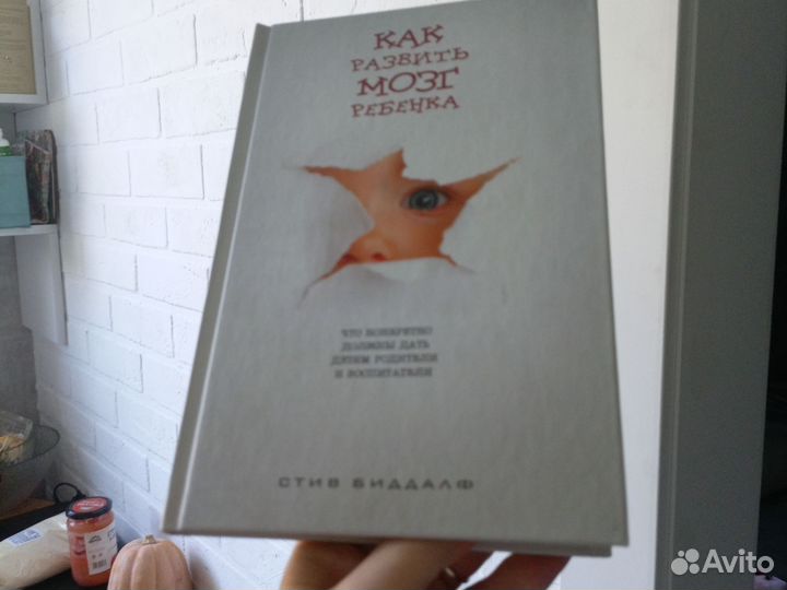 Как развить мозг ребёнка Стив Биддалф