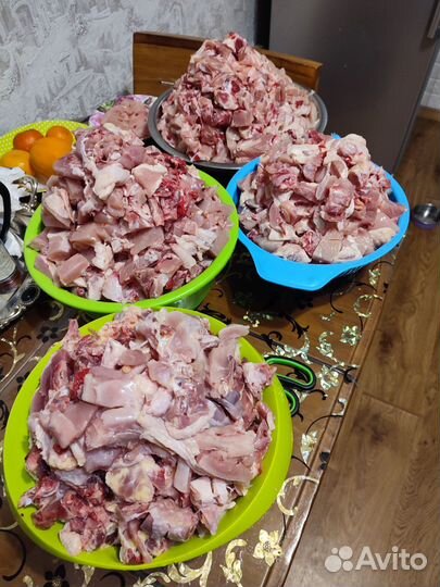 Натуральное питание для кошек