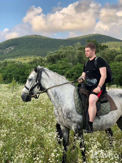 Бизнес ассистент удаленно