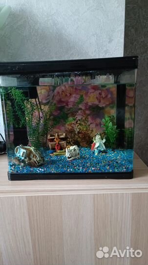 Аквариум с рыбками