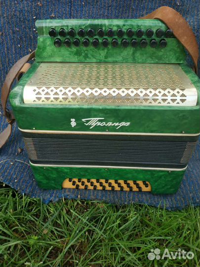 Гармонь Троянда