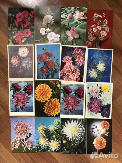 Открытки СССР цветы