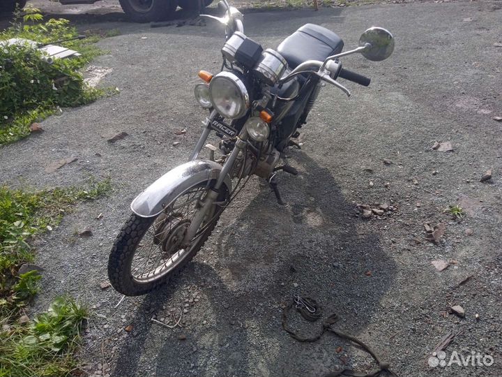 Рейсер альфа