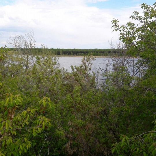 Дом 119 м² на участке 8 сот.