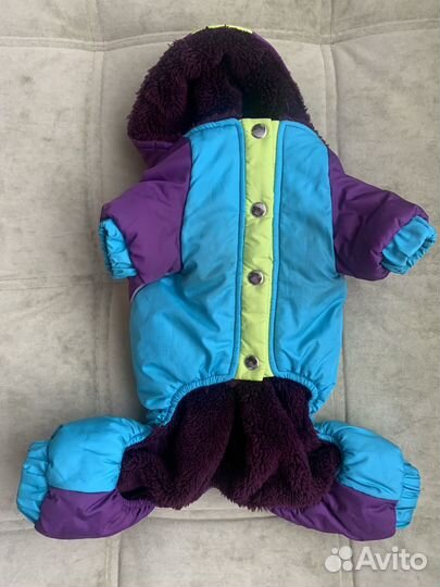 Одежда для собак