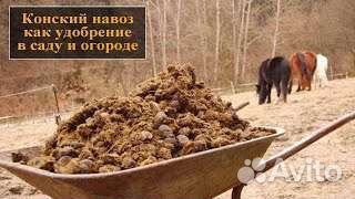 Конский навоз, козий навоз, перегной