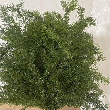 Веники из пихты