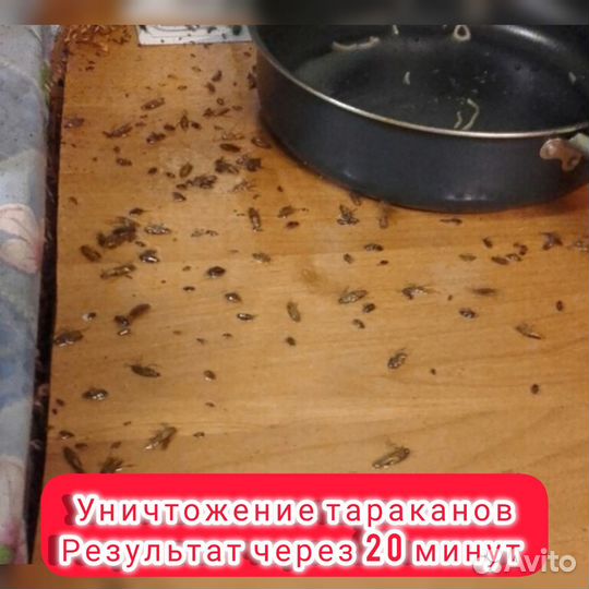 Уничтожение клопов травить тараканов дезинфекция