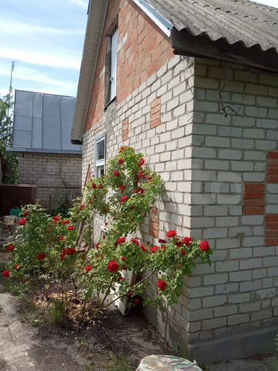 Дача 24 м² на участке 7 сот.