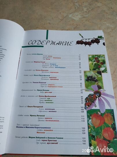 Книги на тему - дача (цена за 2 книги)