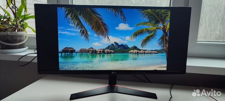Монитор Lg 29 дюймов