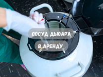 Сосуд дьюара в аренду