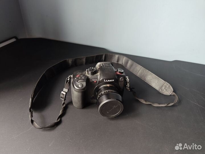 Panasonic lumix gh5s