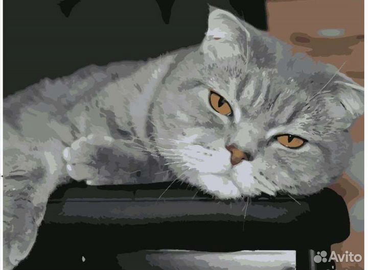 Картина по номерам по вашему фото