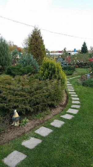 Дача 60 м² на участке 8 сот.