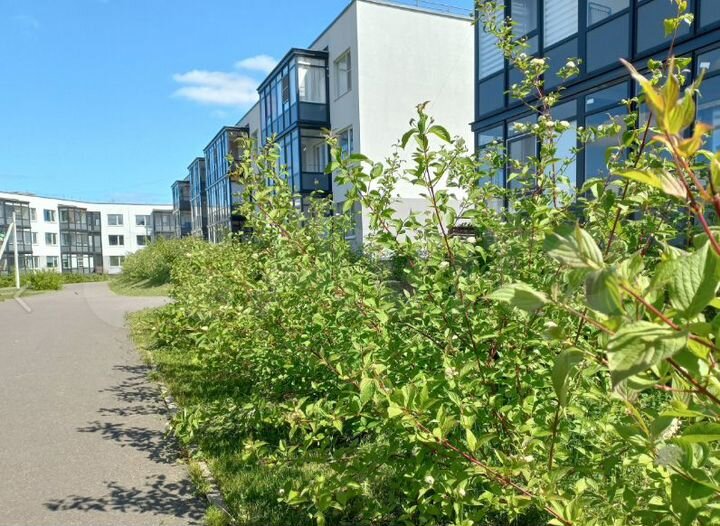 1-к. квартира, 35 м², 1/3 эт.