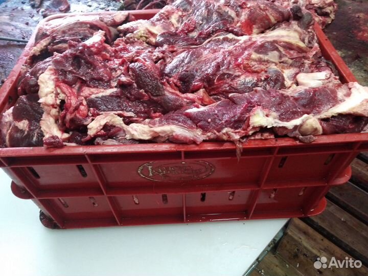 Мясная обрезь с говяжьих голов