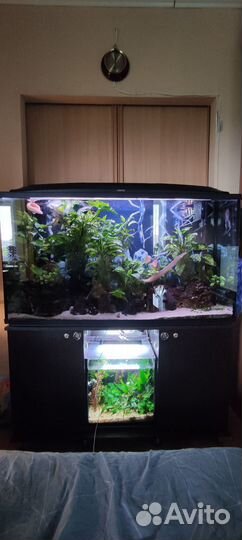 Аквариум с тумбой 300 литров