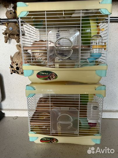Клетка для Хомяков