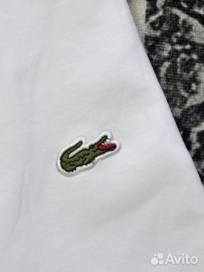 Поло lacoste