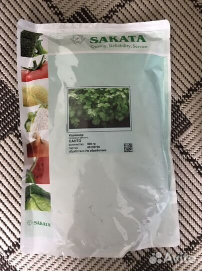 Кориандр санто
