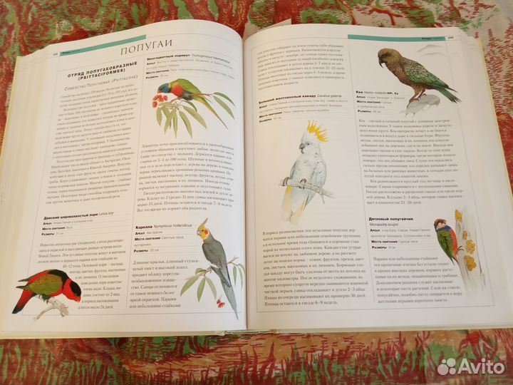 New энциклопедия животных