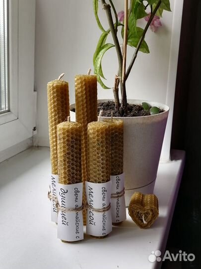 Свечи из вощины