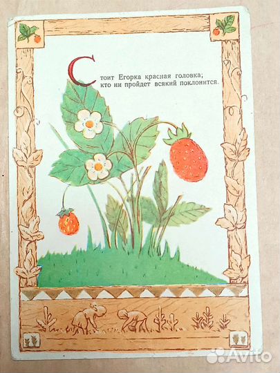 Открытка, фото Лужники, альбом листы ватман 50-е