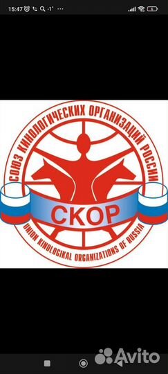 Кинологический клуб Пëсико
