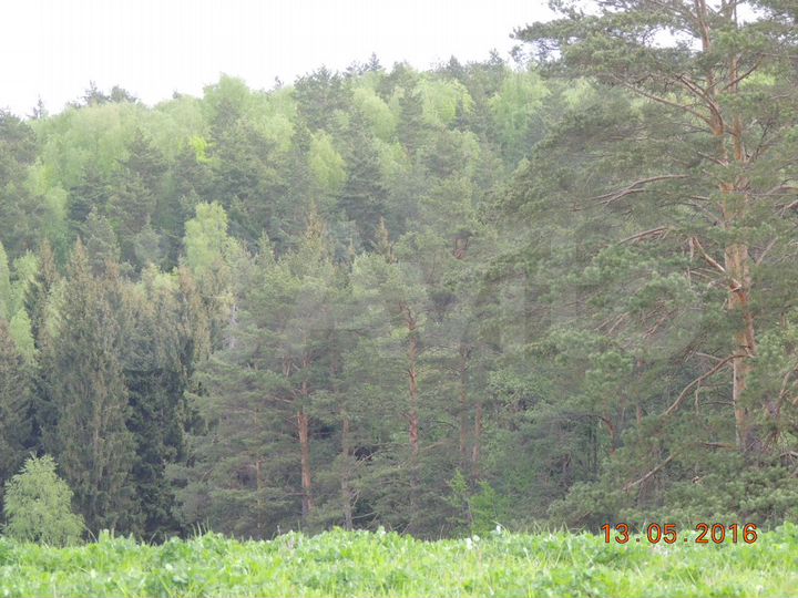 Участок 6 сот. (ИЖС)