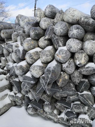 Мульча из лузги подсолнечника